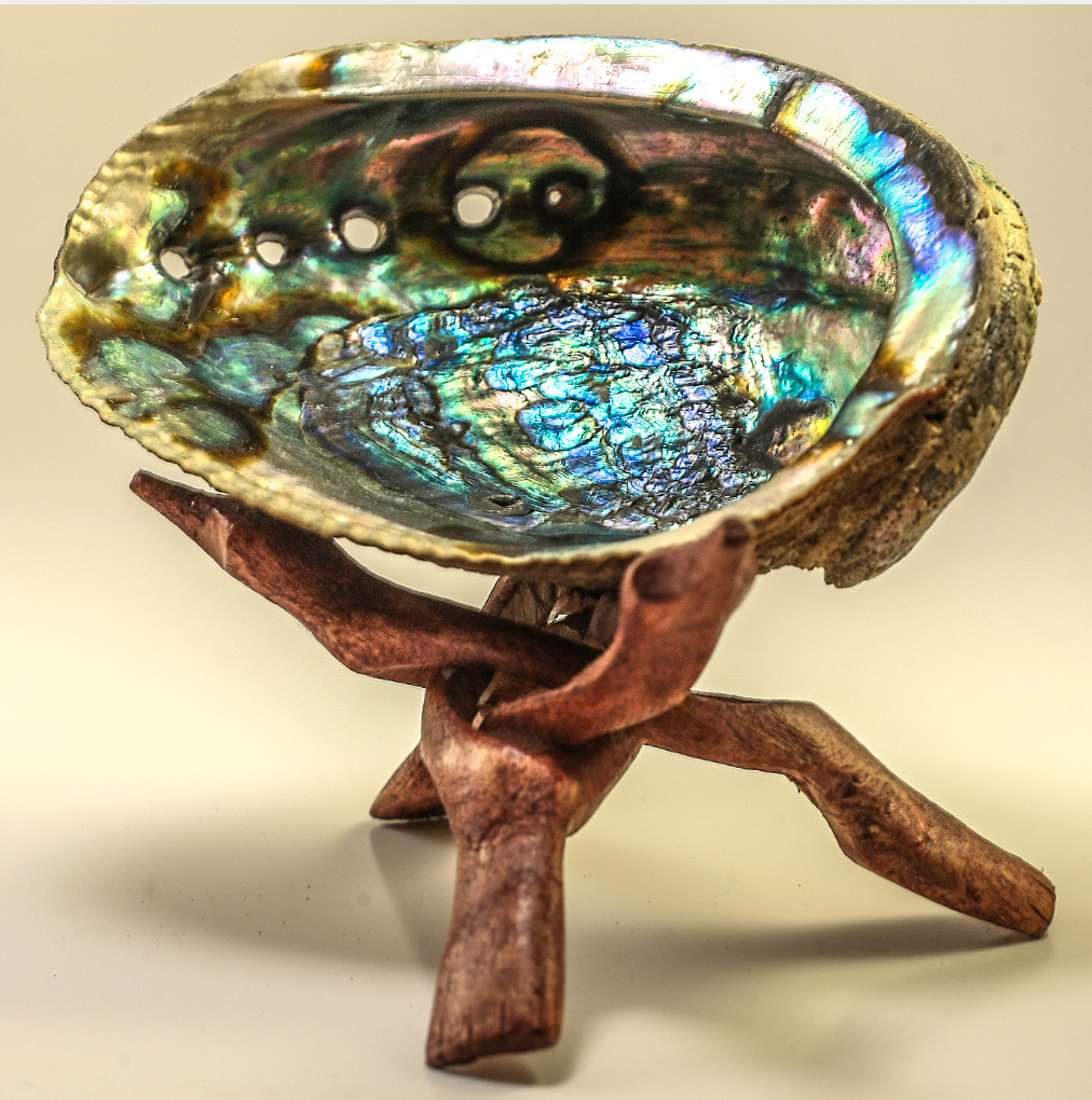ABALONE SHELL Incense Burner small - Image 2